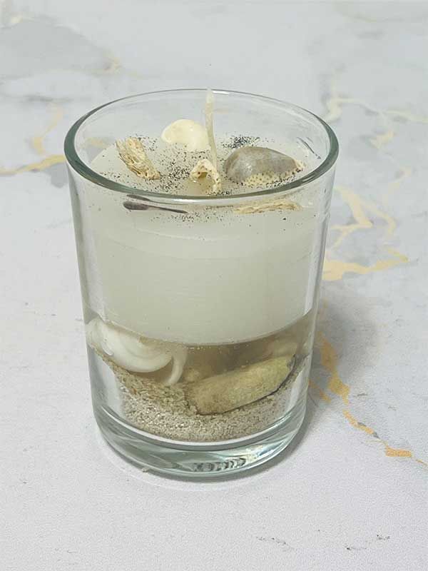 شمع ژله ای دریایی - 