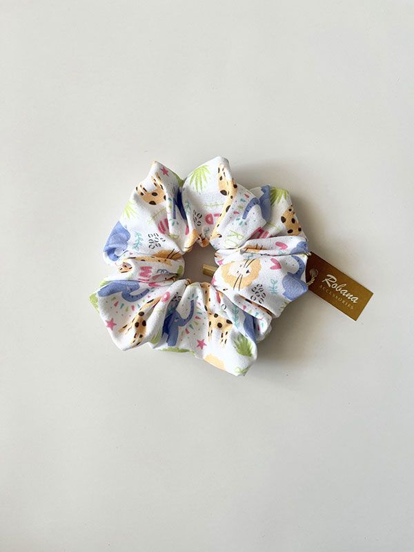 اسکرانچی 4040757