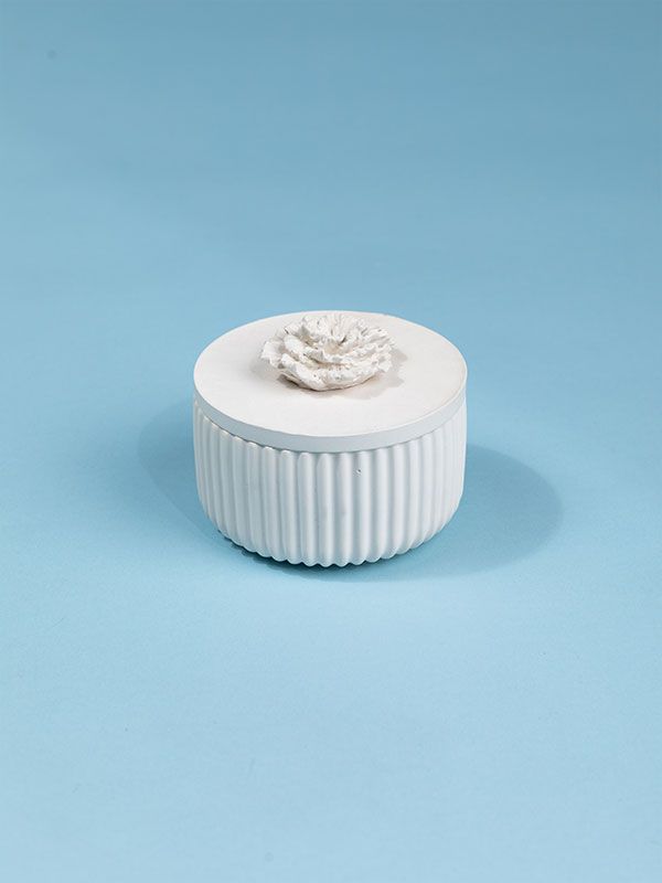 ظرف دردار شکوفه