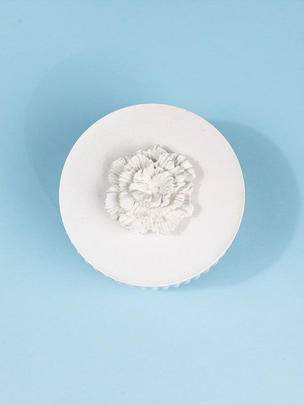 ظرف دردار شکوفه