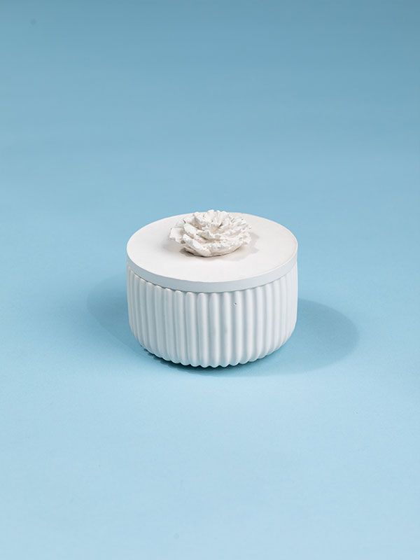 ظرف دردار شکوفه